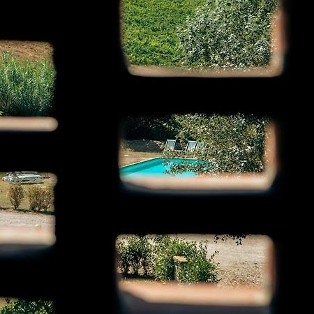 基安蒂格雷夫Fienile Panoramico Nel Chianti别墅 外观 照片