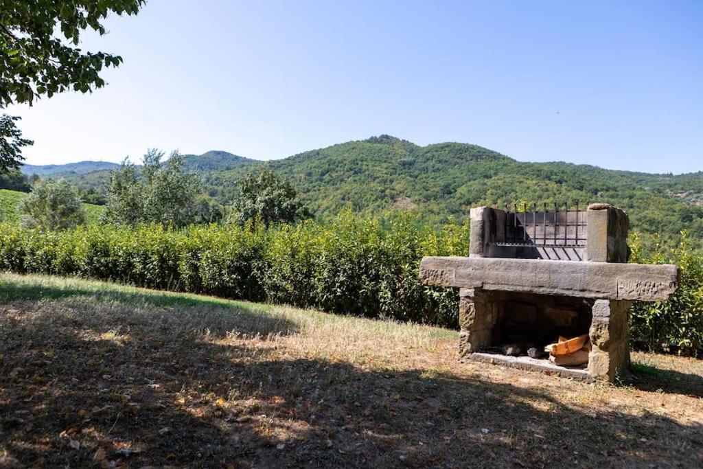 基安蒂格雷夫Fienile Panoramico Nel Chianti别墅 外观 照片